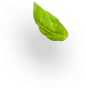 leaf shape