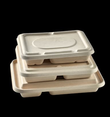 Image of 3-Grid and 4-Grid Bento Sugarcane Bagasse