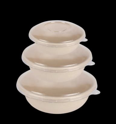 Image of Sugarcane Bagasse Bowl